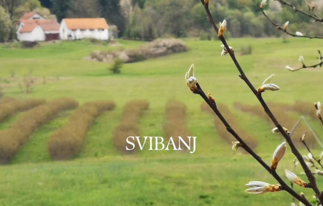 Najava svibanjskog susreta